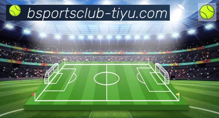 Bsports官网发展历程