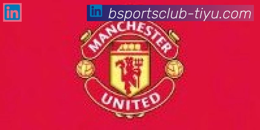 Bsports官网合作伙伴